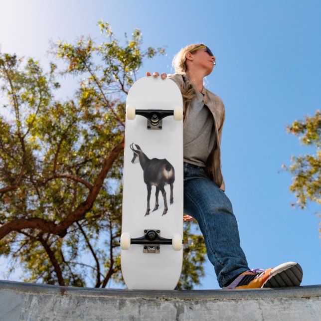 Skate Cabra de montanha de Chamois alpina minimalista na (Ao ar livre 1)