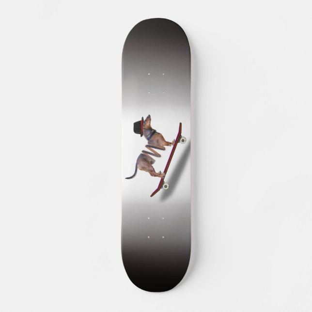 Skate Cachshund Skateboarder (Frente)