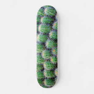 skate cactus