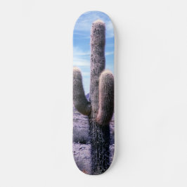 Skate Cactus na província de Jujuy - Argentina Norte
