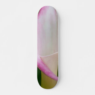 Skate Calla Pano