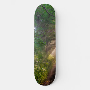 Skate Caminho da Floresta