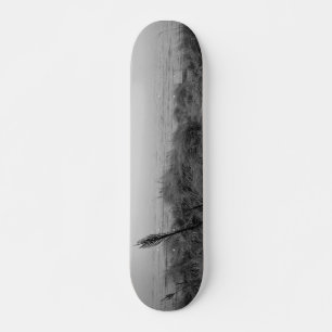 Skate Caminho da praia
