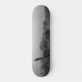 Skate Caminho da praia