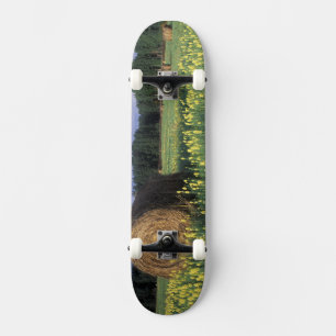Skate Canadá, Colúmbia Britânica, Kitwanga. Amarelo