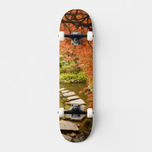 Skate CANADÁ, Colúmbia Britânica, Vitória. Outono