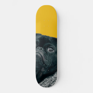 Skate cão amarelo