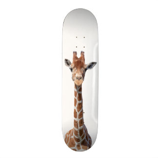 Skate Cara bonito do girafa