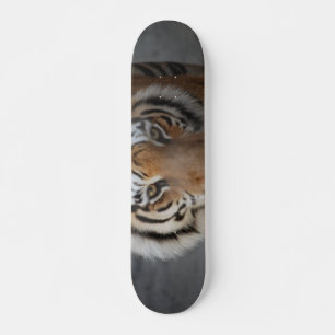 Skate Cara do tigre
