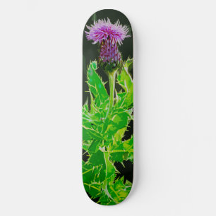 Skate Cardo Skatedeck
