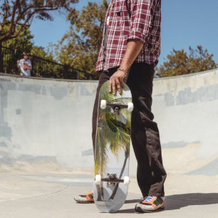 Skate Cas Abao - Escape Tropical de Praia #4 #ocean #wal