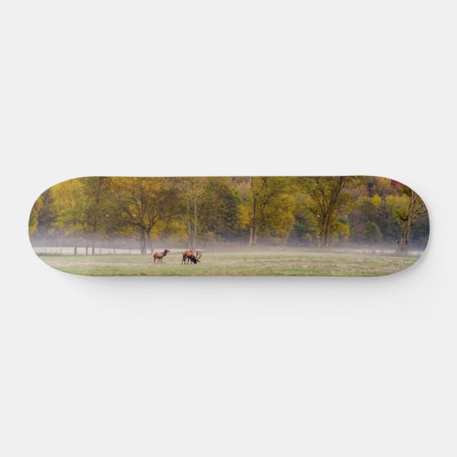 Skate Casal De Elk Grazing (Horz)