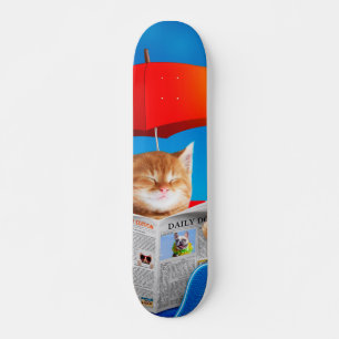 Skate Cat Na Praia Lê O Jornal