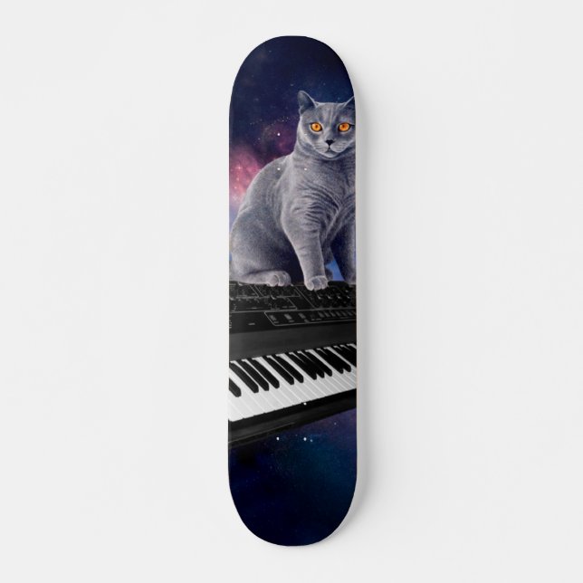 Skate Cat on synthesizer in space (Frente)