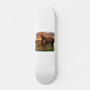 Skate Cavalo e pônei