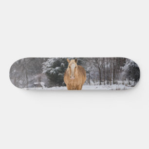 Skate Cavalo Loiro Caminha No Quadro De Neve