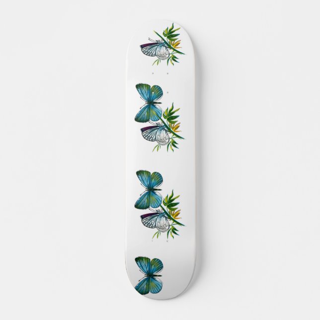 Skate Celastrina argiolus (masculino) (Frente)