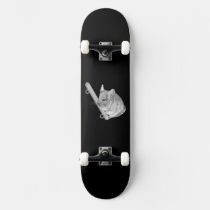 Skate Chinchila Relaxando
