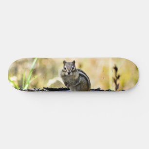 Skate Chipset Cute