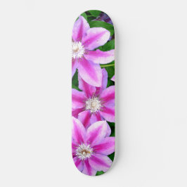 Skate Clematis, flores rosa