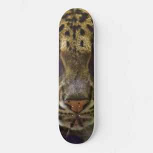 Skate Clouded Leopard