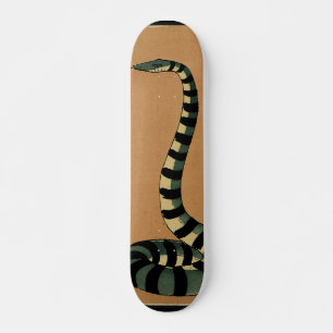 Skate Cobra - Antiquarian, ilustração de livro colorid