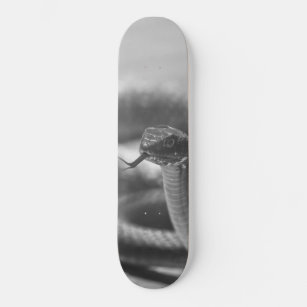 Skate Cobra preto e branco