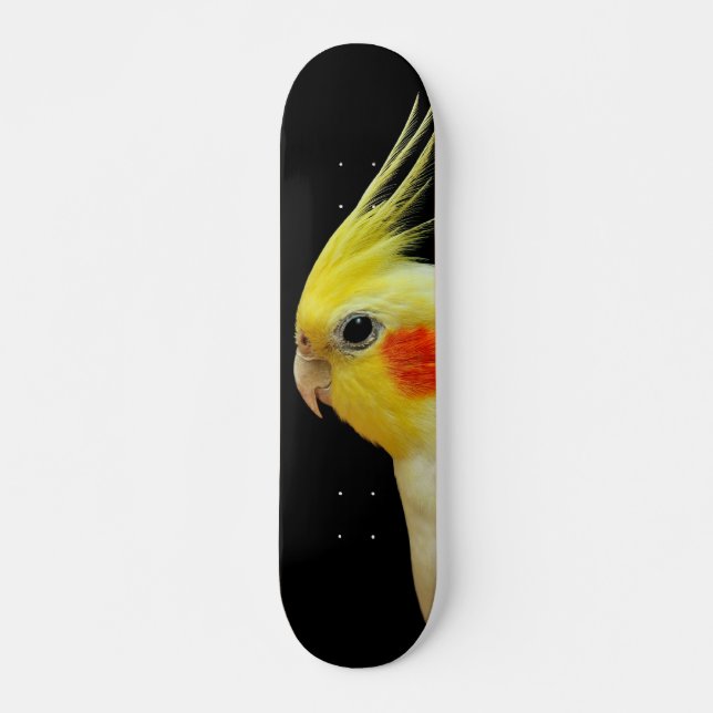 Skate Cockatiel de Lutino (Frente)
