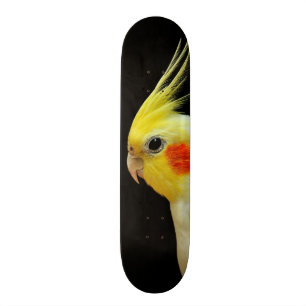 Skate Cockatiel de Lutino
