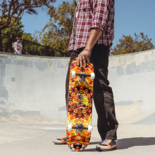 Skate Coco Palm Star