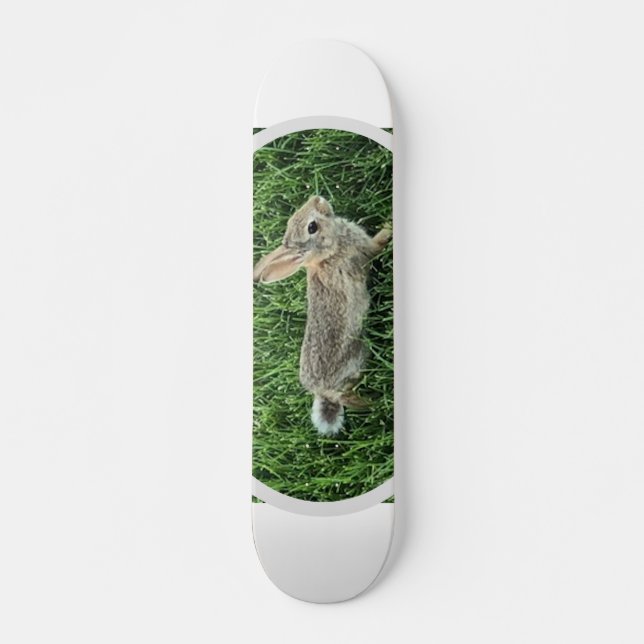 Skate Coelho Bonito Bunny (Frente)