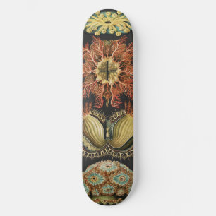 Skate Colagem de Arte de Vida Marinha Náutica de Ernst H