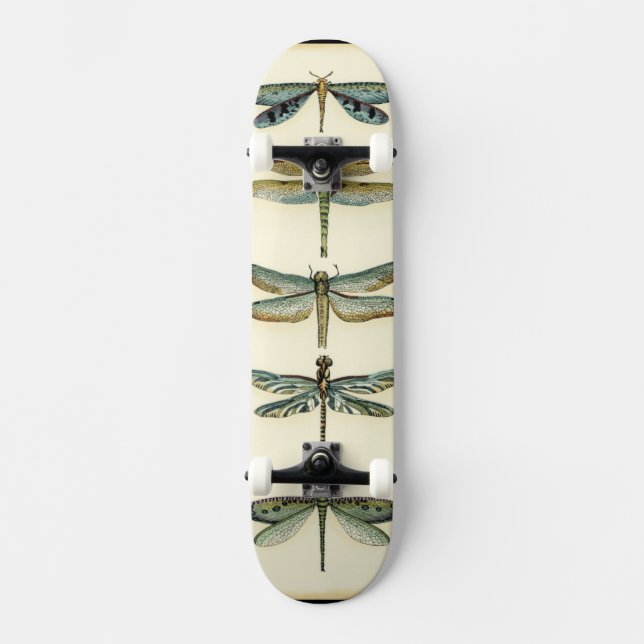 Skate Coleção Dragonfly por Chariklia Zarris (Frente)