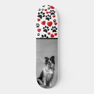 Skate Collie
