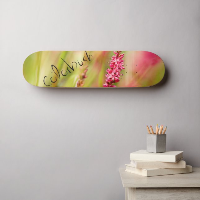 skate colorbush (Arte de parede (Horz))