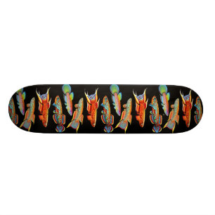 Skate colorido do Killifish