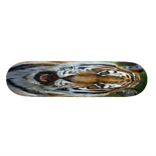 Skate com imagem da cara do tigre