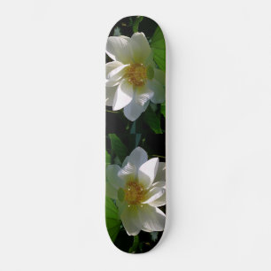 skate com uma delicada flor branca de Lotus