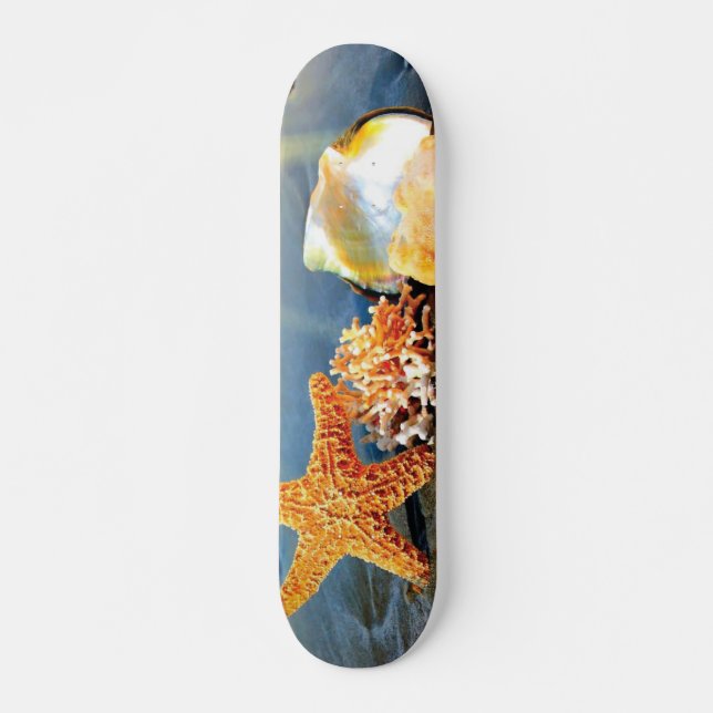 Skate Conchas marítimas e estrelas-do-mar na praia (Frente)