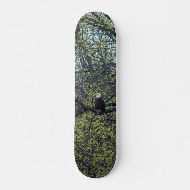 Skate Consciência da águia (Frente)