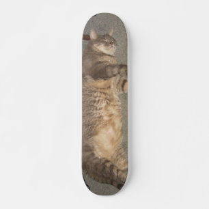 Skate Conselho FatCat