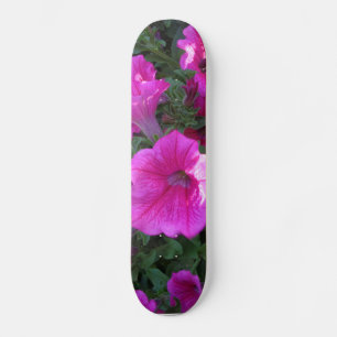 Skate cor-de-rosa da flor
