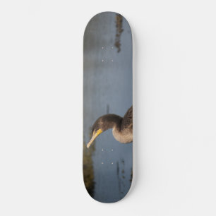 Skate Cormorão de peito duplo