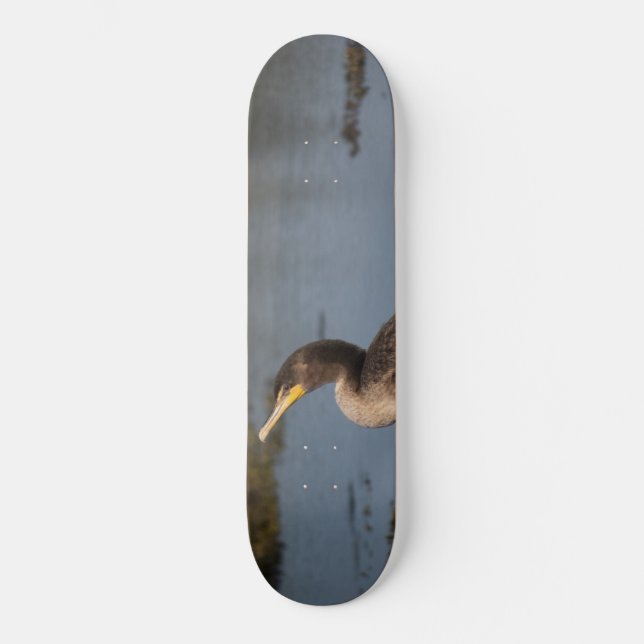 Skate Cormorão de peito duplo (Frente)