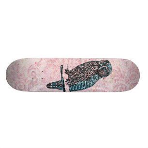 Skate Coruja bonito azul cor-de-rosa do vintage