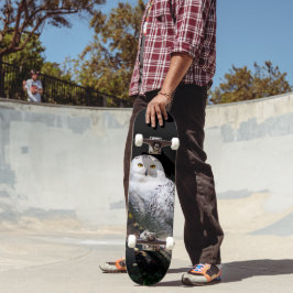 Skate Coruja de neve majestosa no inverno