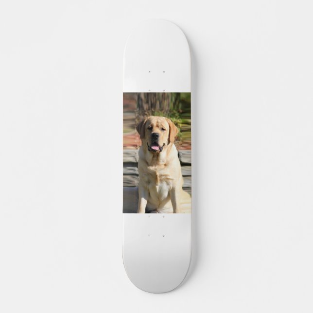 Skate Crie Sua Própria Foto De Cão De Pet