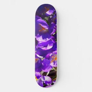 SKATE CROCO DA PRIMAVERA
