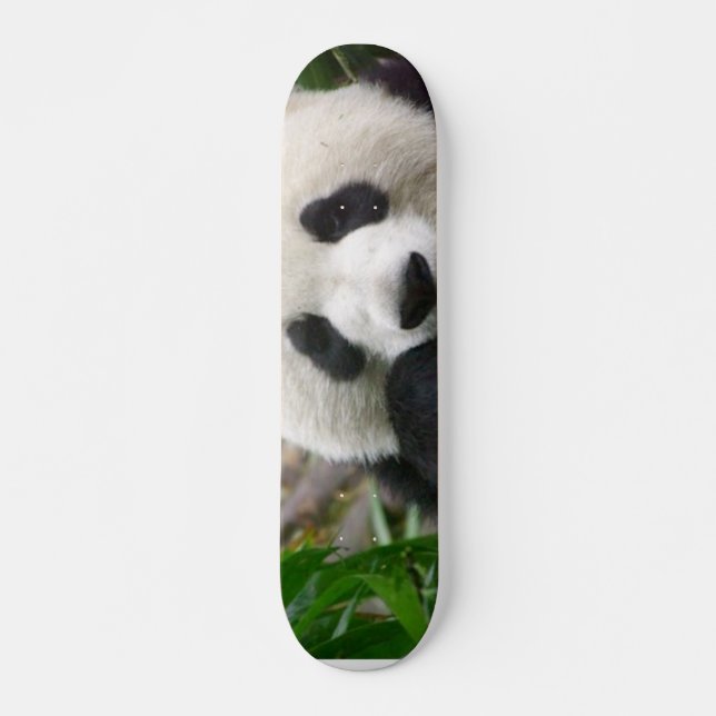 Skate da panda (Frente)