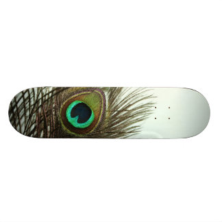 Skate da pena do pavão
